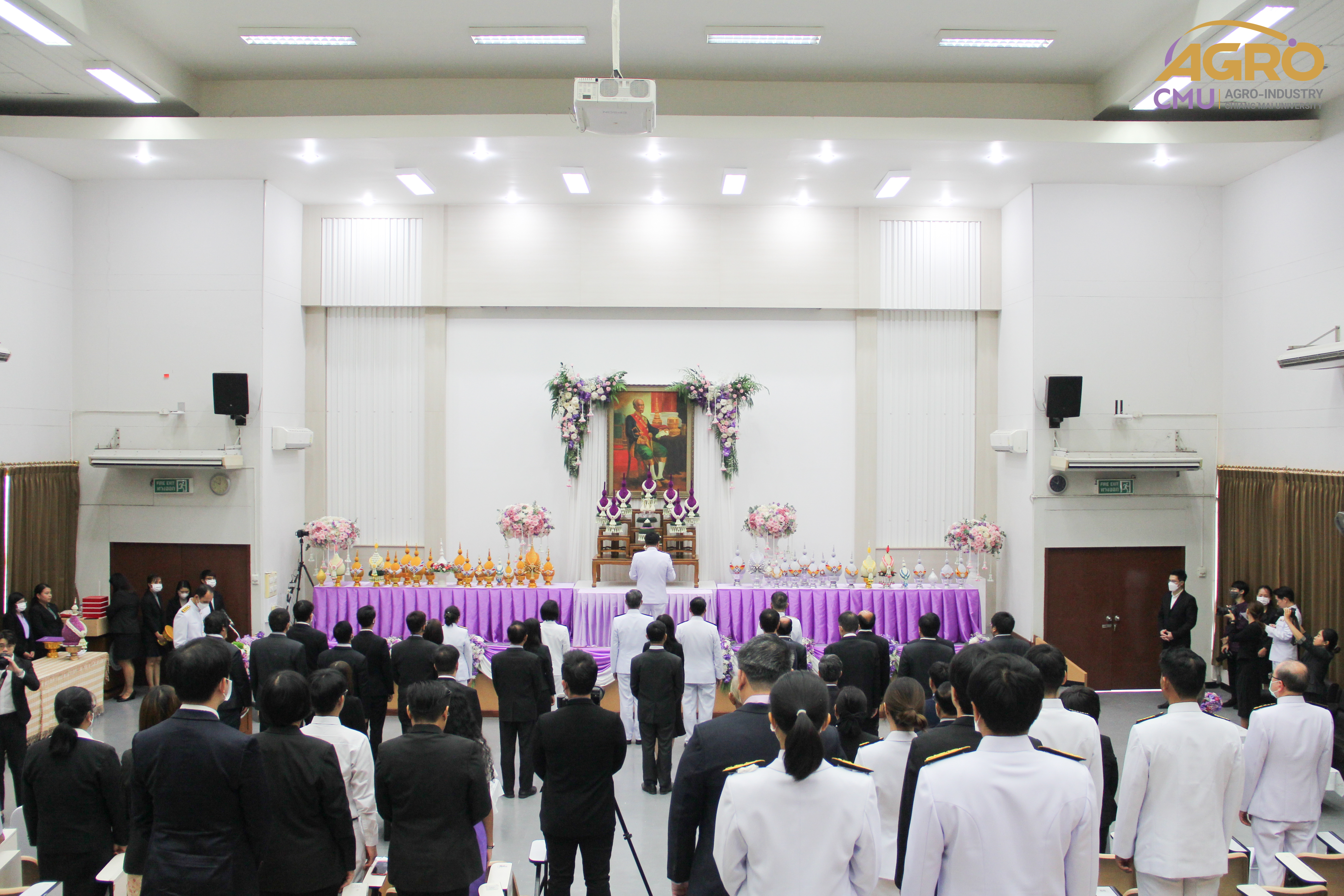 gallery-0