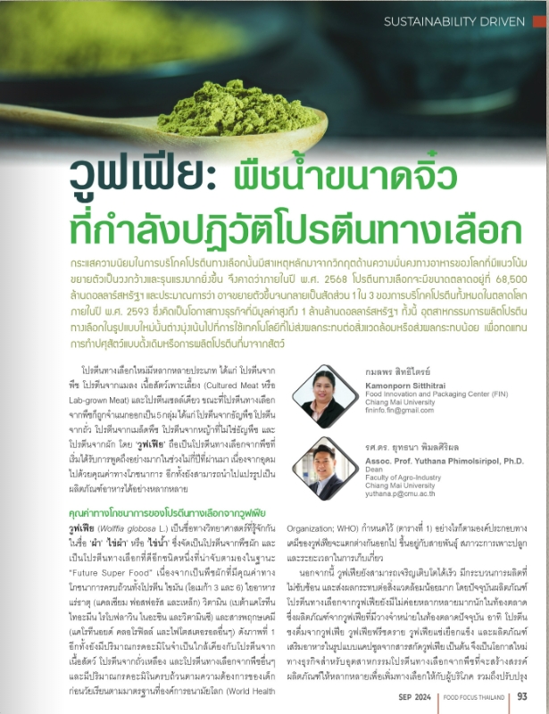 วูฟเฟีย: พืชน้ำขนาดจิ๋วที่กำลังปฏิวัติโปรตีนทางเลือก