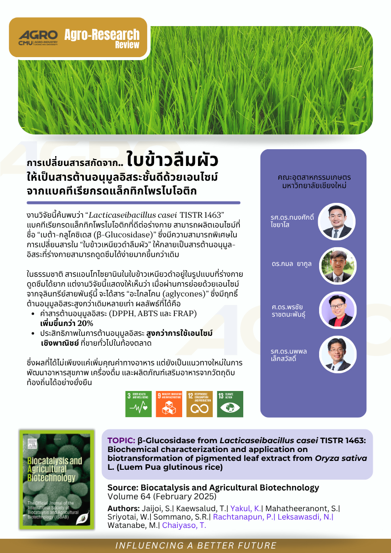 การเปลี่ยนสารสกัดจากใบข้าวลืมผัวให้เป็นสารต้านอนุมูลอิสระชั้นดีด้วยเอนไซม์จากแบคทีเรียกรดแล็กทิกโพรไบโอติก