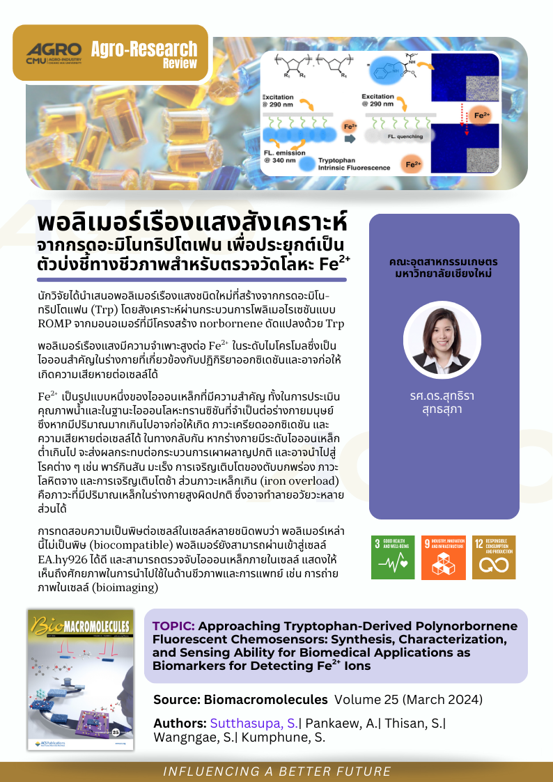 พอลิเมอร์เรืองแสงสังเคราะห์จากกรดอะมิโนทริปโตเฟนเพื่อประยุกต์เป็นตัวบ่งชี้ทางชีวภาพสำหรับตรวจวัดโลหะ Fe2+