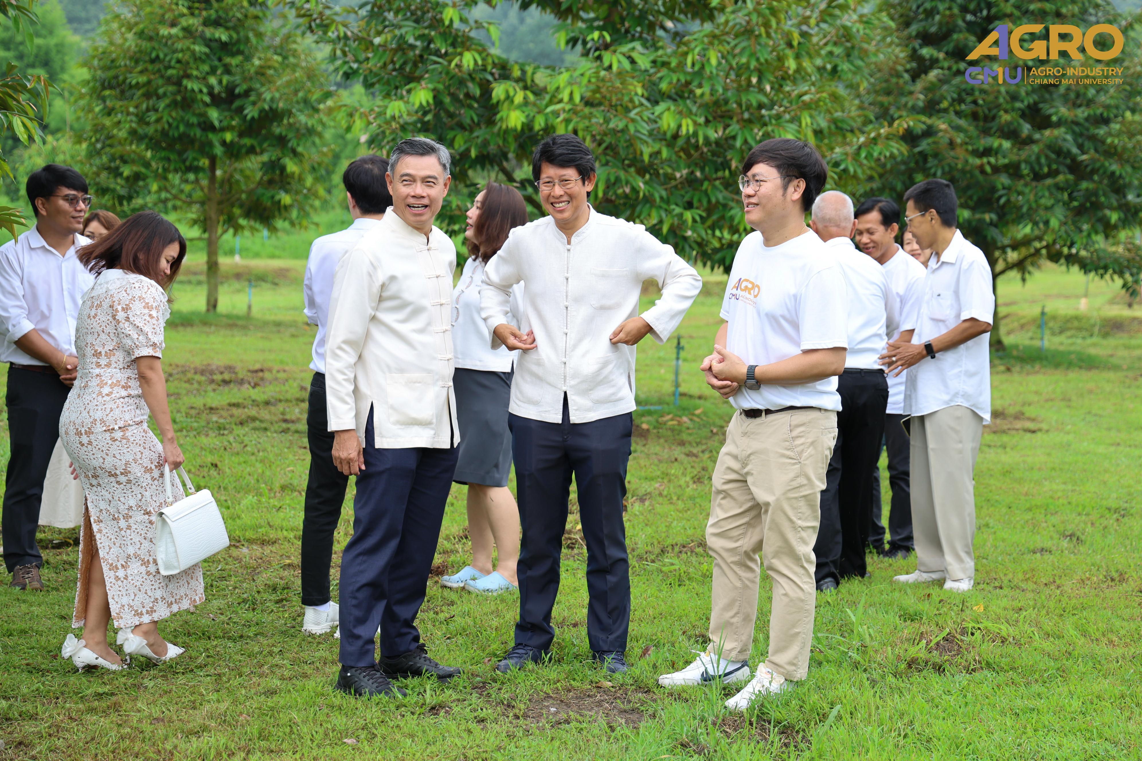 gallery-4