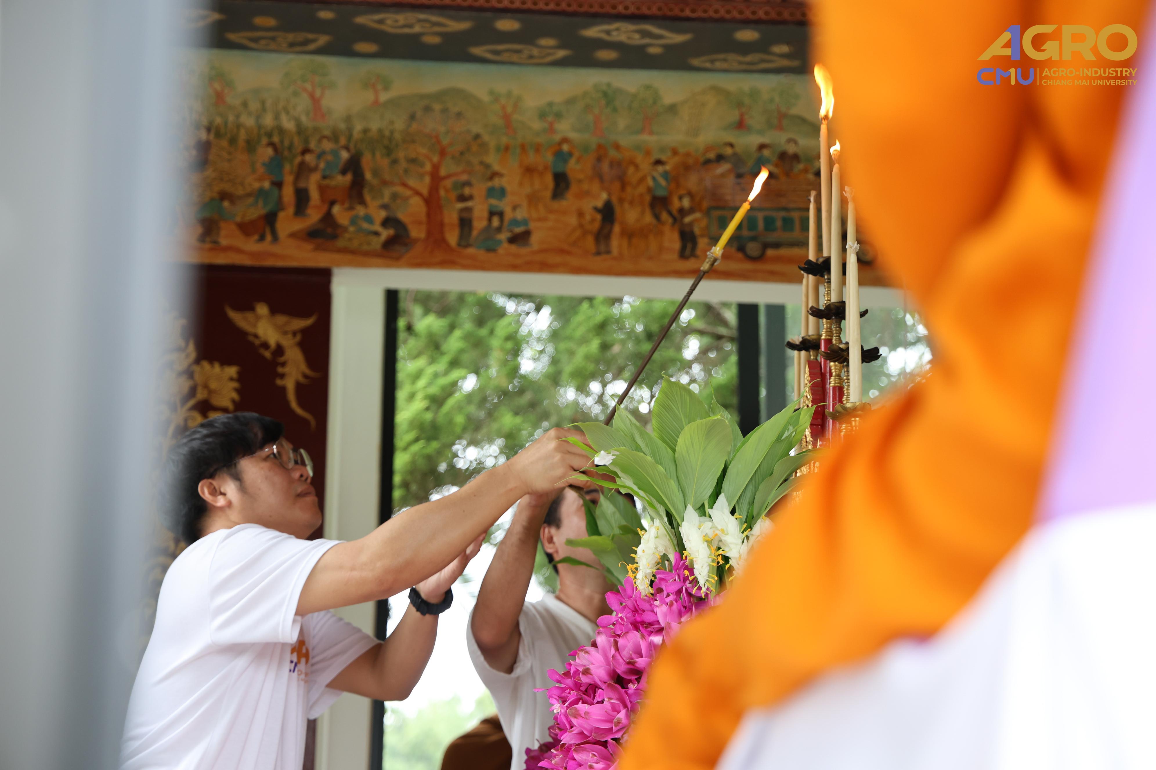 gallery-1