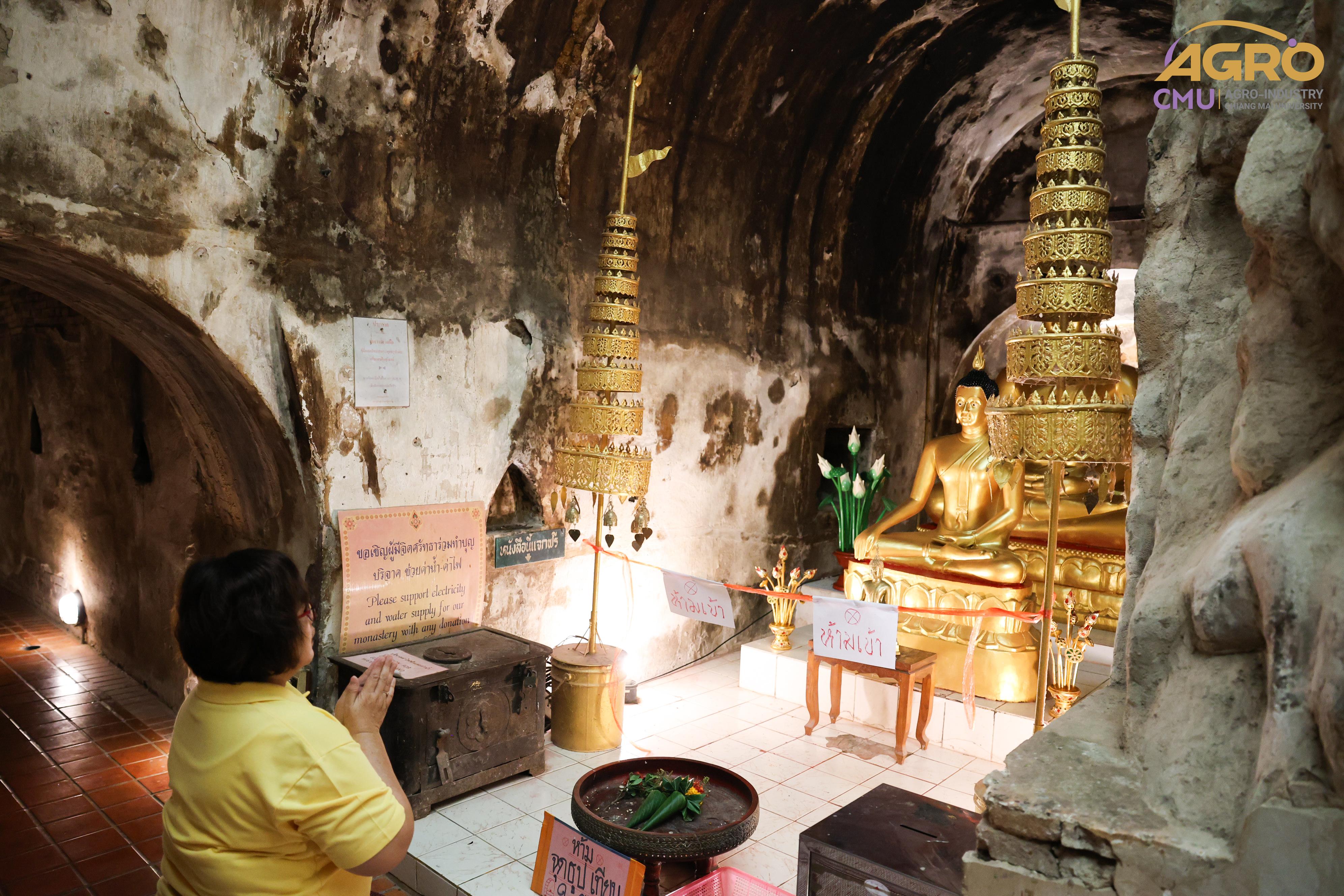 gallery-2