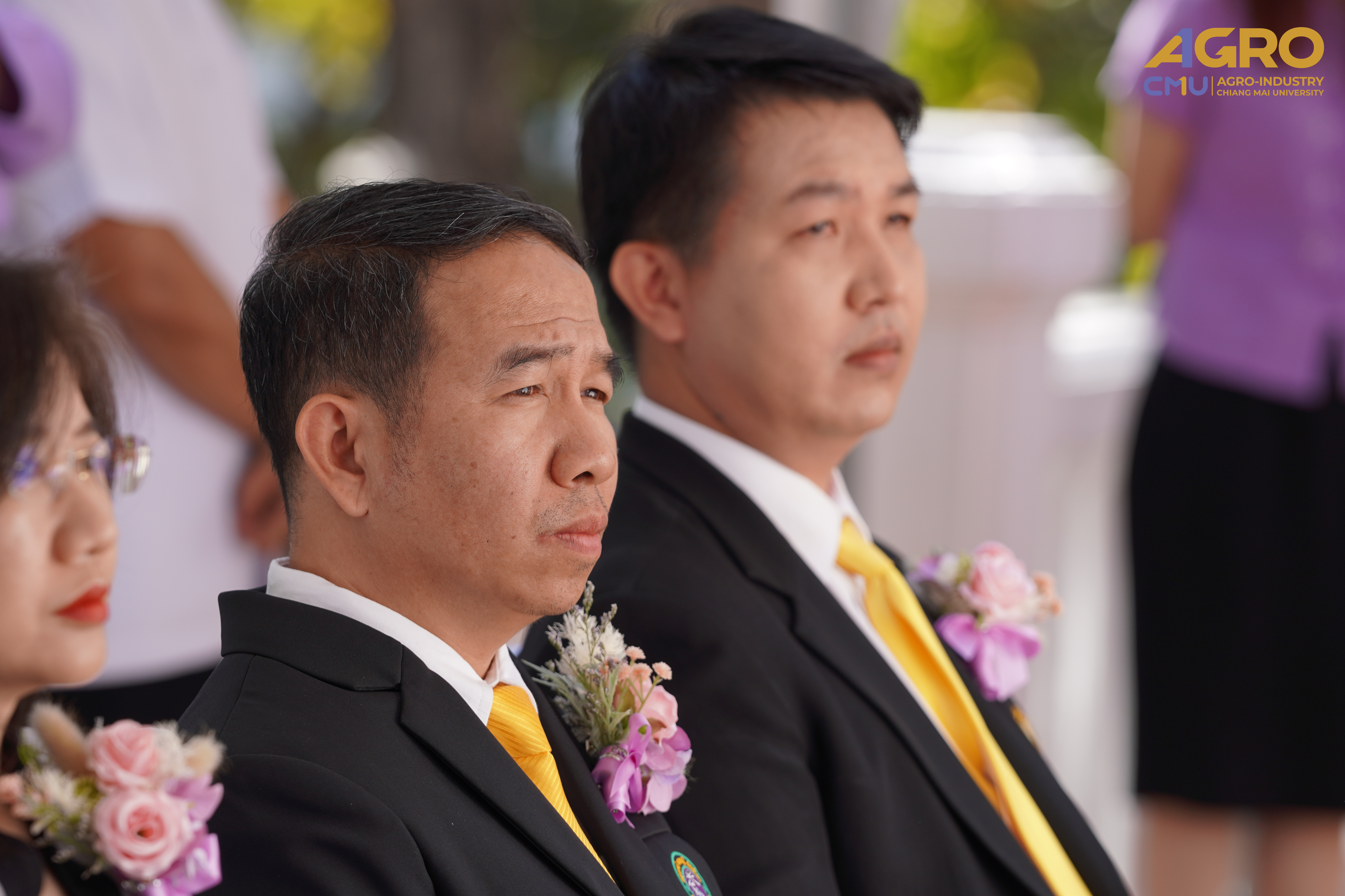 gallery-26