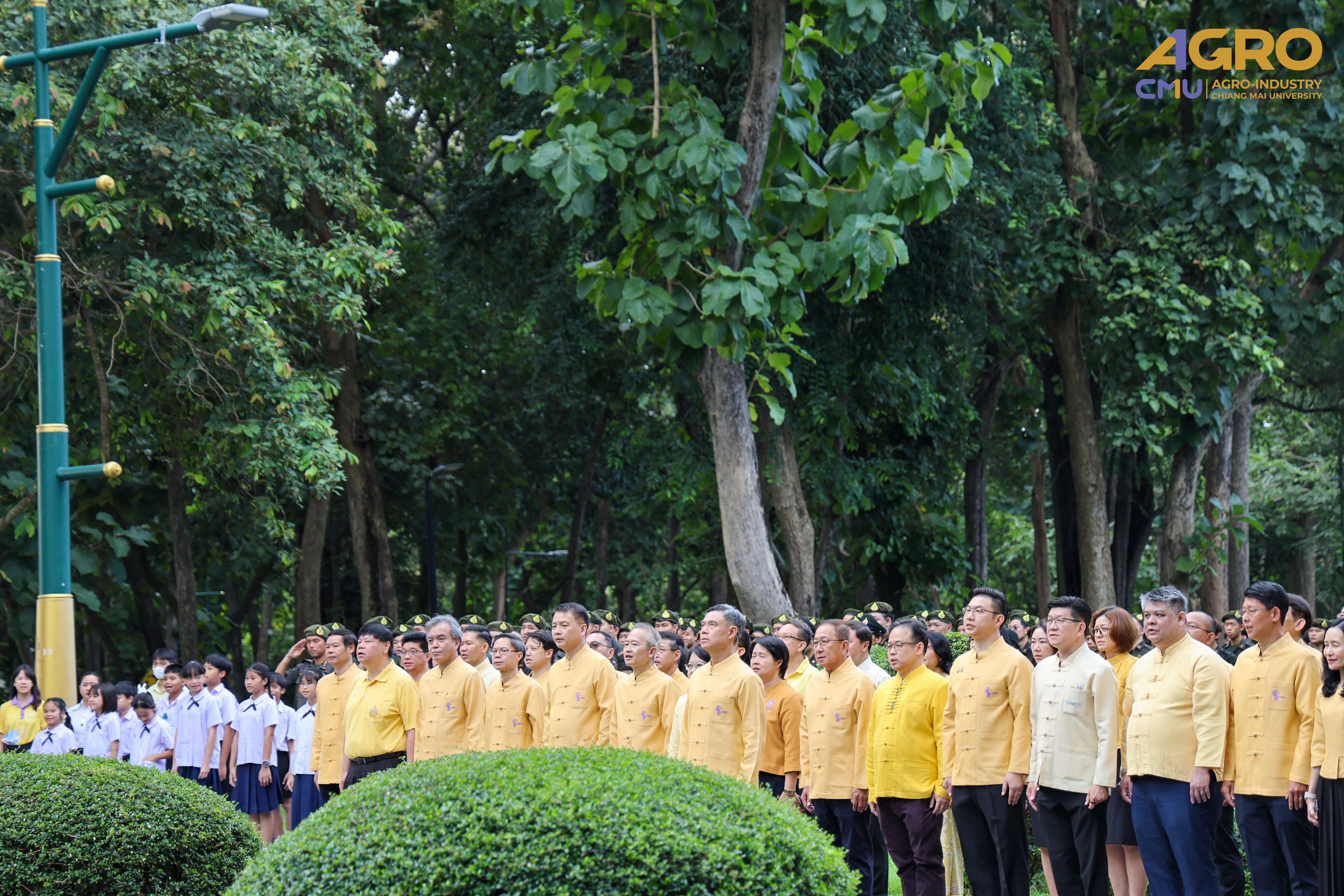 gallery-3
