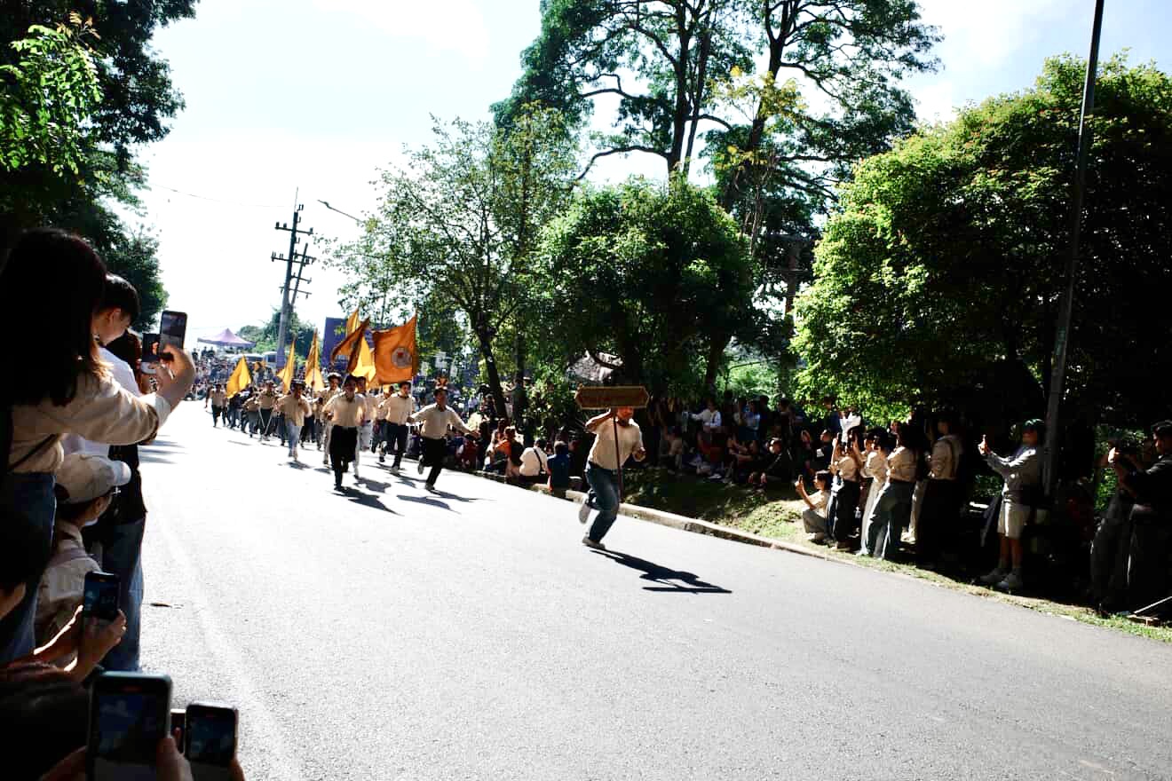 gallery-2