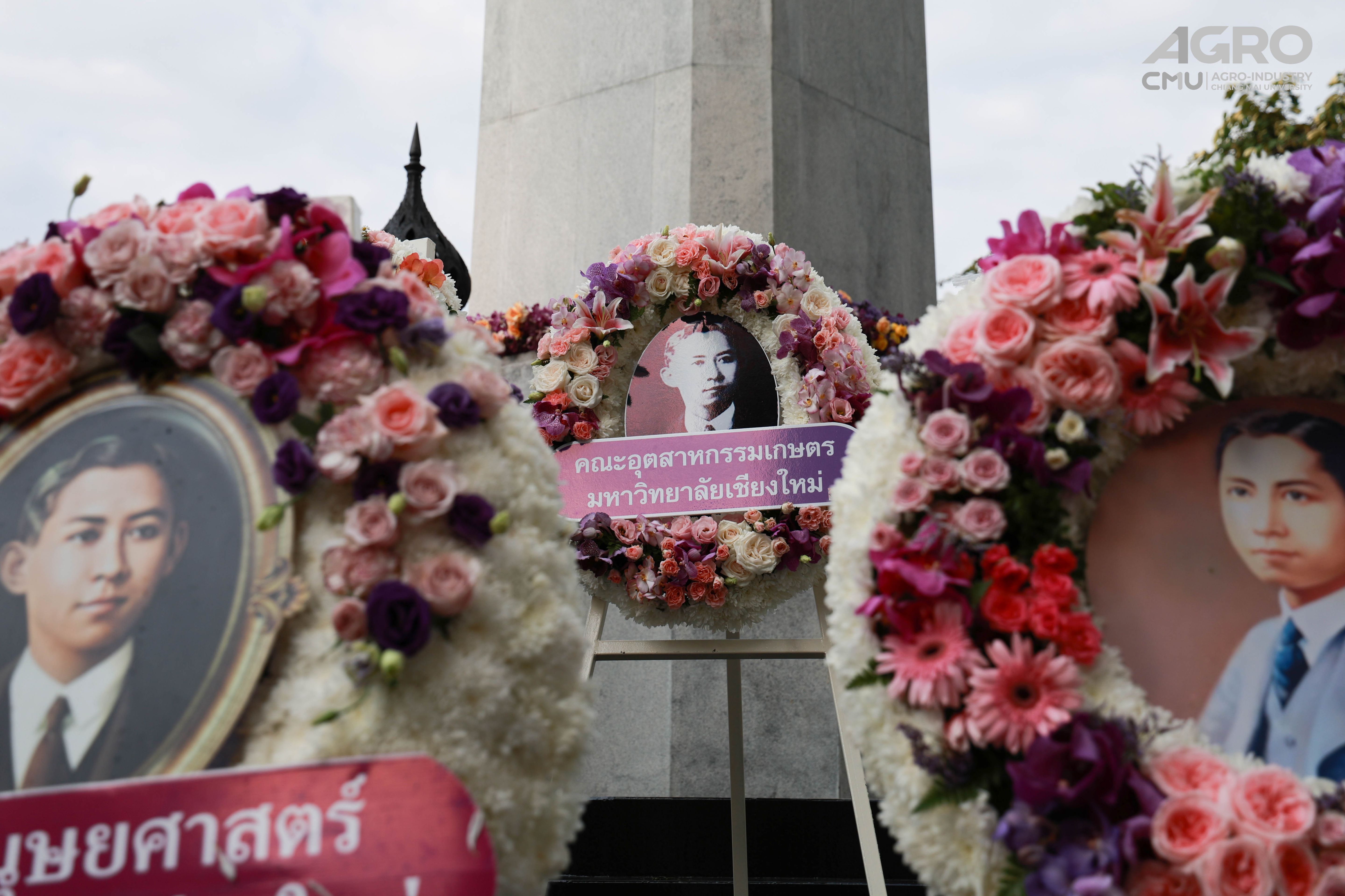 gallery-4