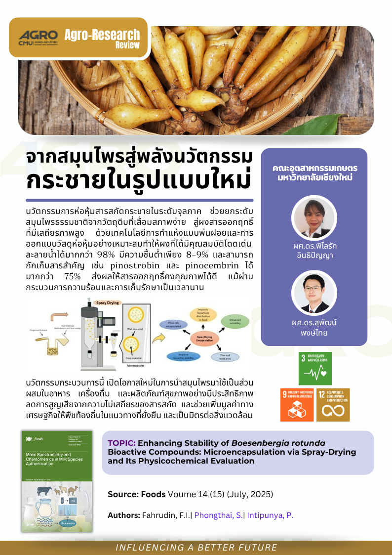 จากสมุนไพรสู่พลังนวัตกรรม: กระชายในรูปแบบใหม่