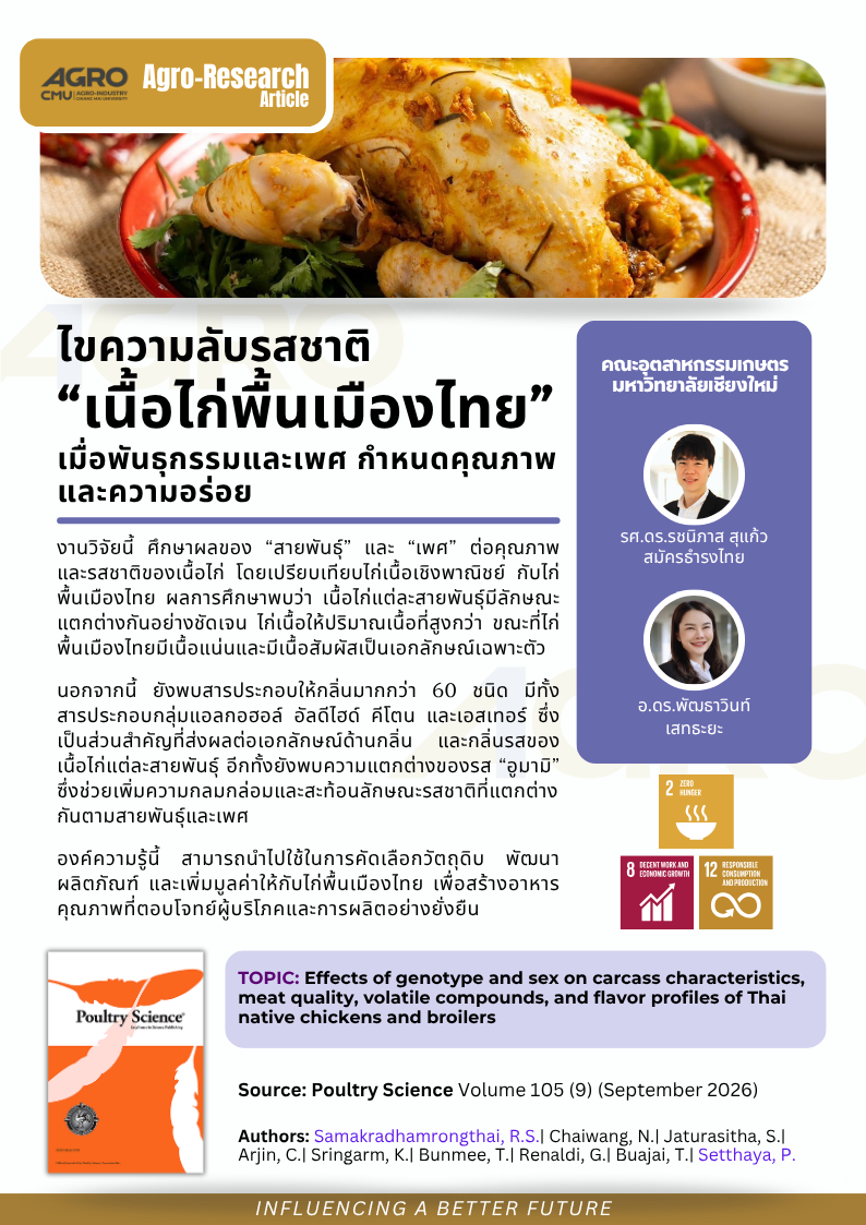 ไขความลับรสชาติเนื้อไก่พื้นเมืองไทย เมื่อพันธุกรรมและเพศกำหนดคุณภาพและความอร่อย