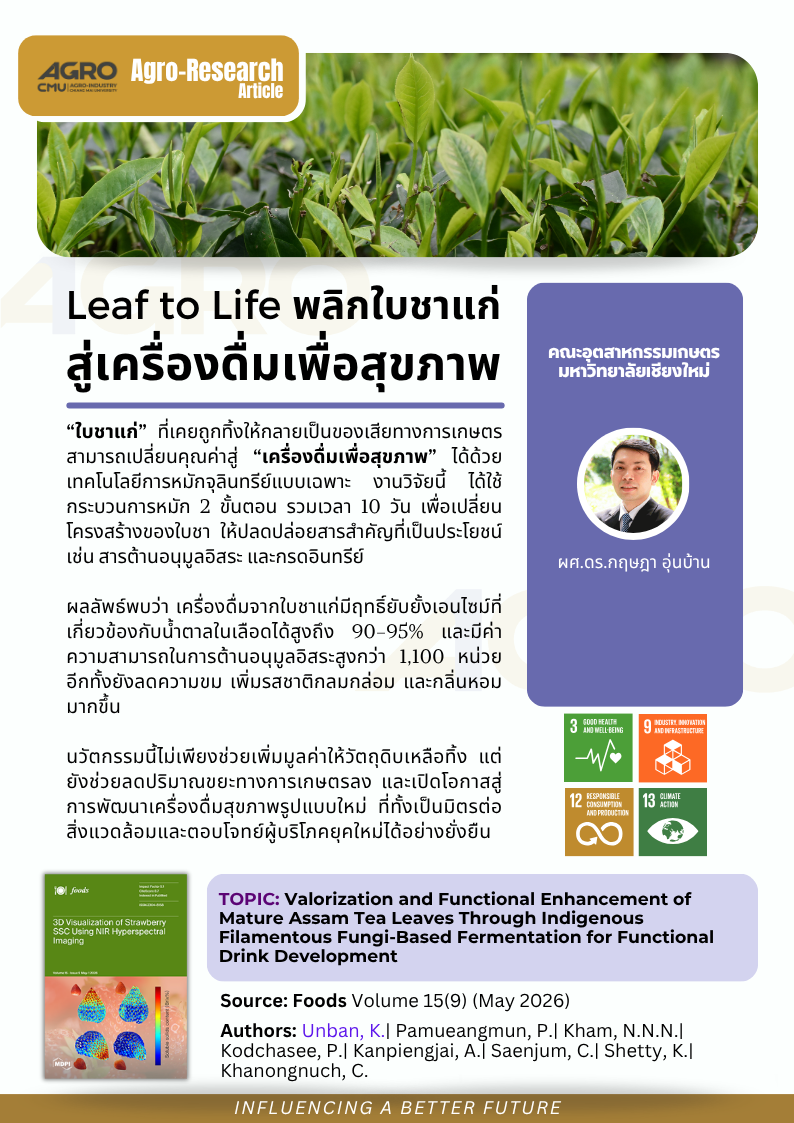 Leaf to Life: พลิกใบชาแก่สู่เครื่องดื่มเพื่อสุขภาพ