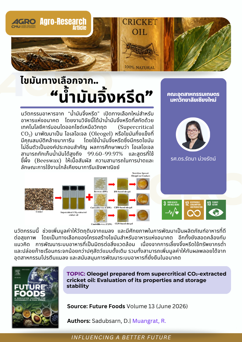 ไขมันทางเลือกจากน้ำมันจิ้งหรีด