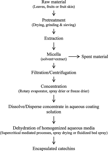 Process flowchart for catechin production and encapsulation