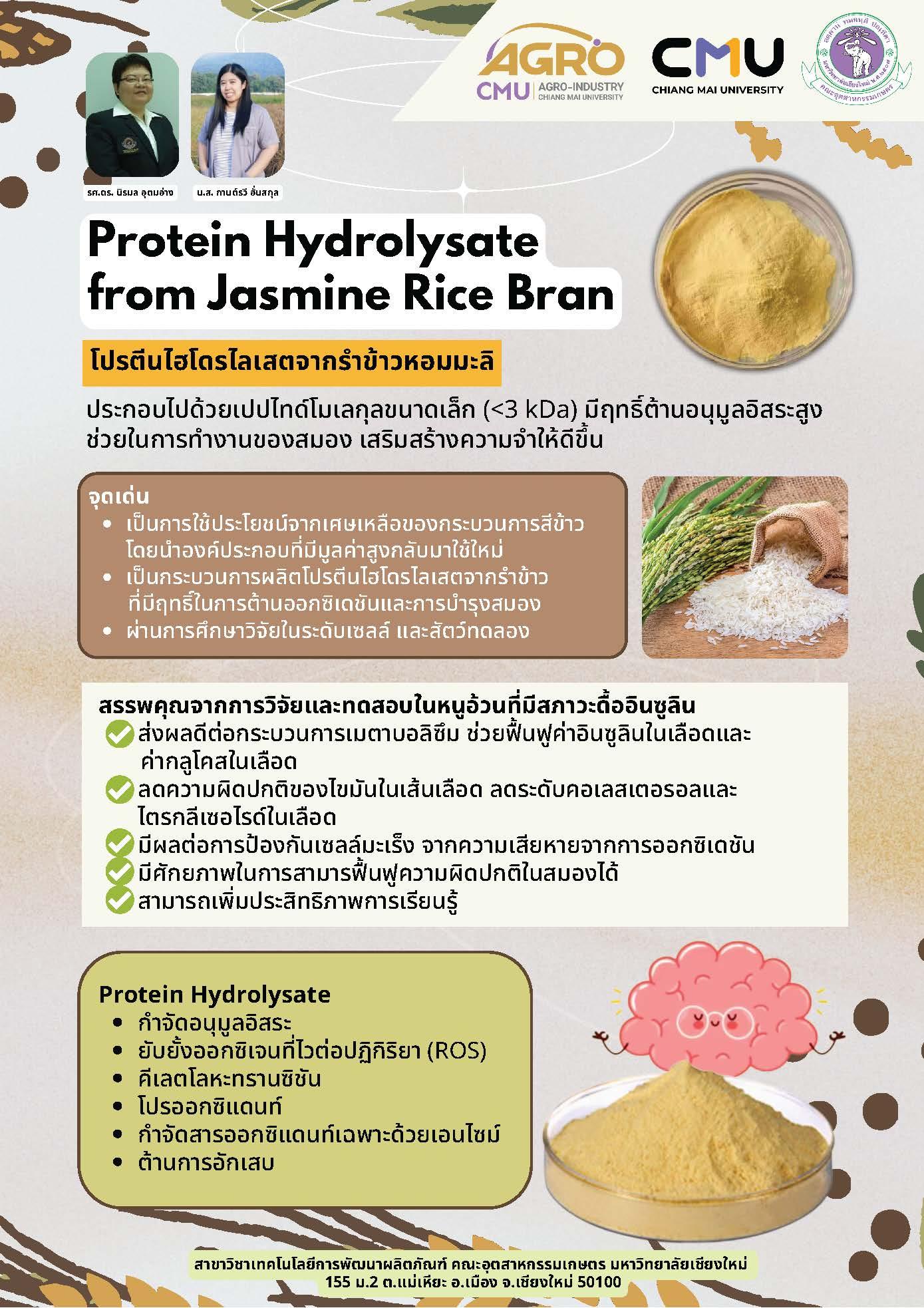 โปรตีนไฮโดรไลเสตจากรำข้าวหอมมะลิ